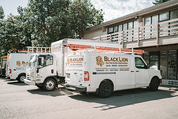Black Lion HVAC Services Serving Kirkland and Puget Sound