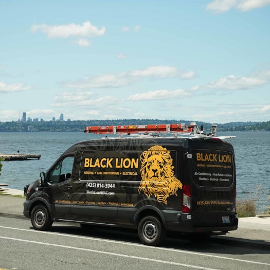 DSC09805 Black Lion HVAC branded work truck driving down a scenic highway.