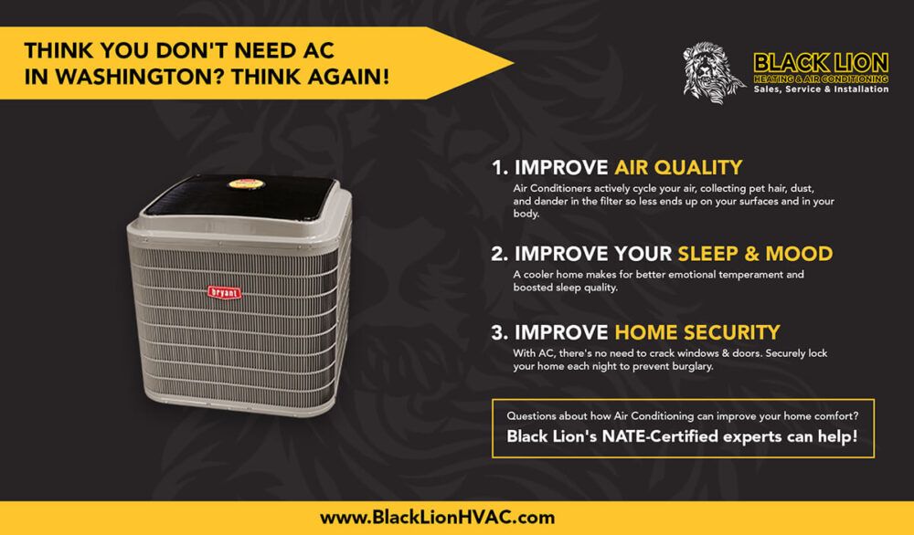 Mercer Island AC Installation Solutions with Black Lion