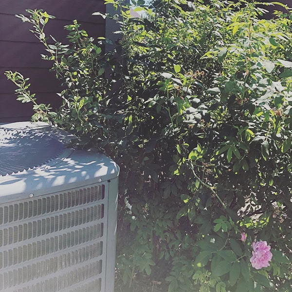 New air conditioner next to plants in the sun.