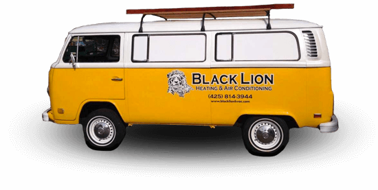 Black Lion Old Van