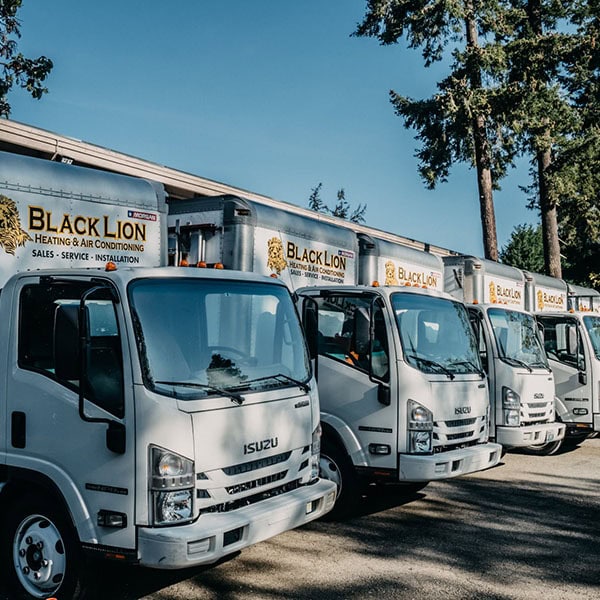 Black Lion Heating, Air Conditioning, & Electrical company truck fleet lined up in the parking lot.